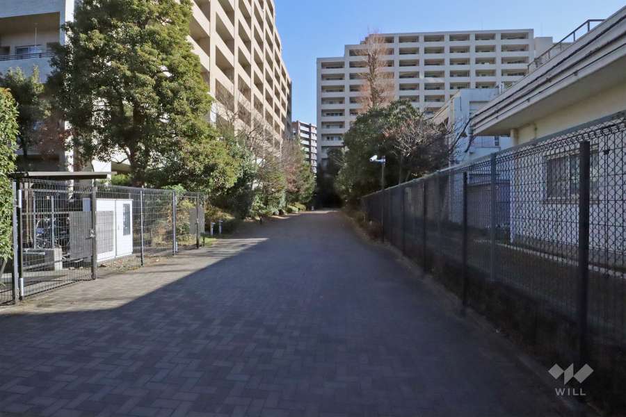 敷地南側の前面道路(西側から)