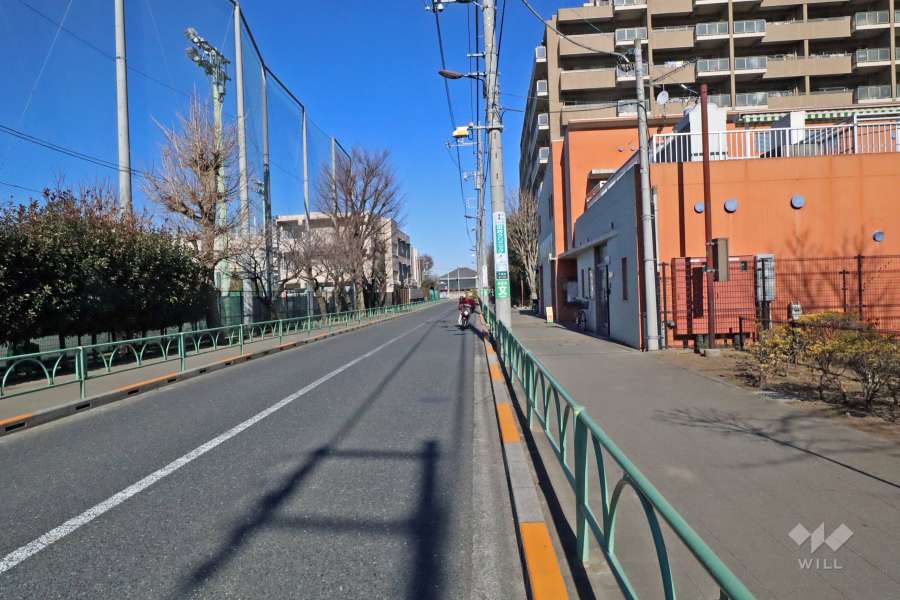 敷地西側の前面道路の向かいは「千歳中学校」です(南側から)。