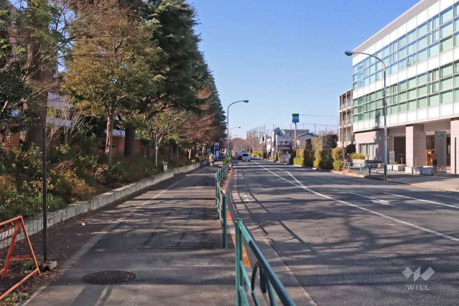 敷地北側の前面道路(東側から)