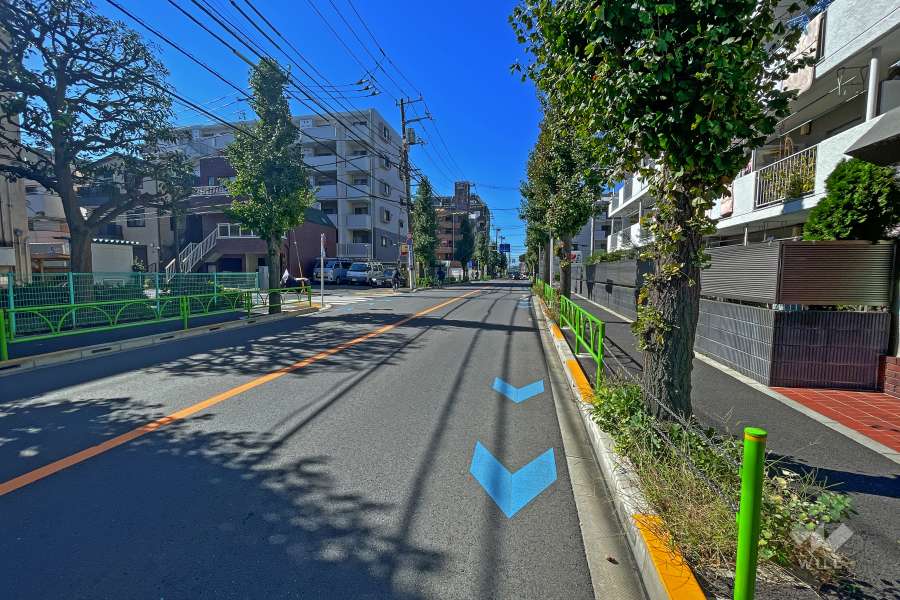 敷地南側の前面道路（西側から）
