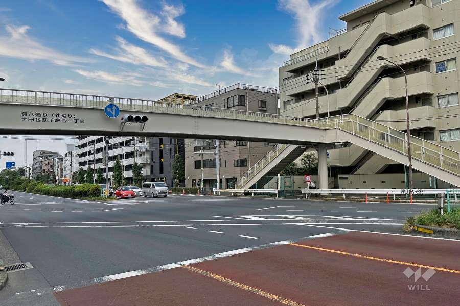 敷地西側の前面道路（南側から）