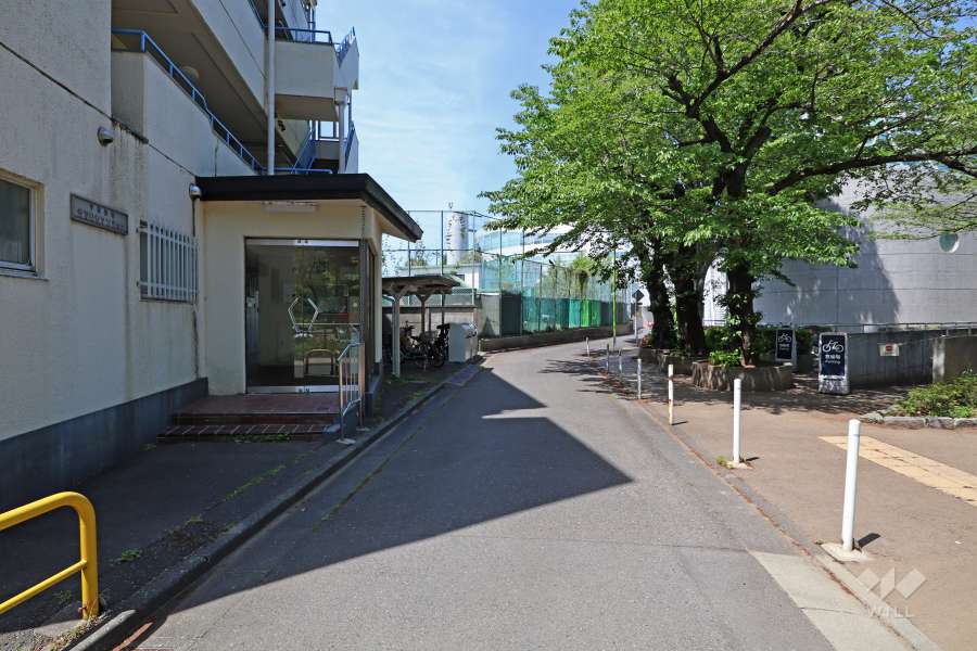 敷地北側の前面道路（東側から）