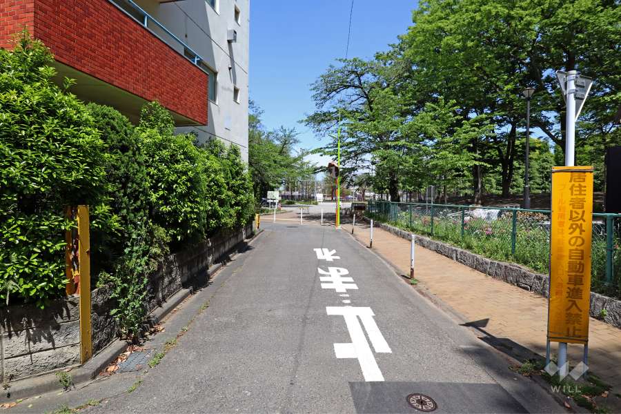 敷地東側の前面道路（南側から）