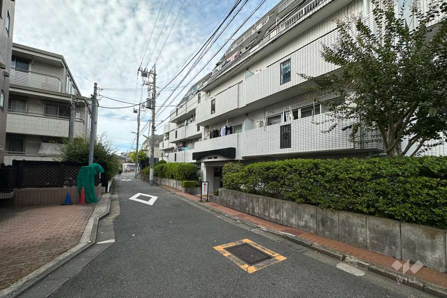 敷地南西側の前面道路（南東側から）