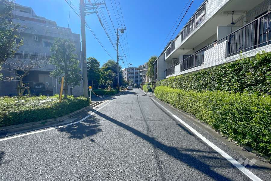 敷地東側の前面道路（北側から）