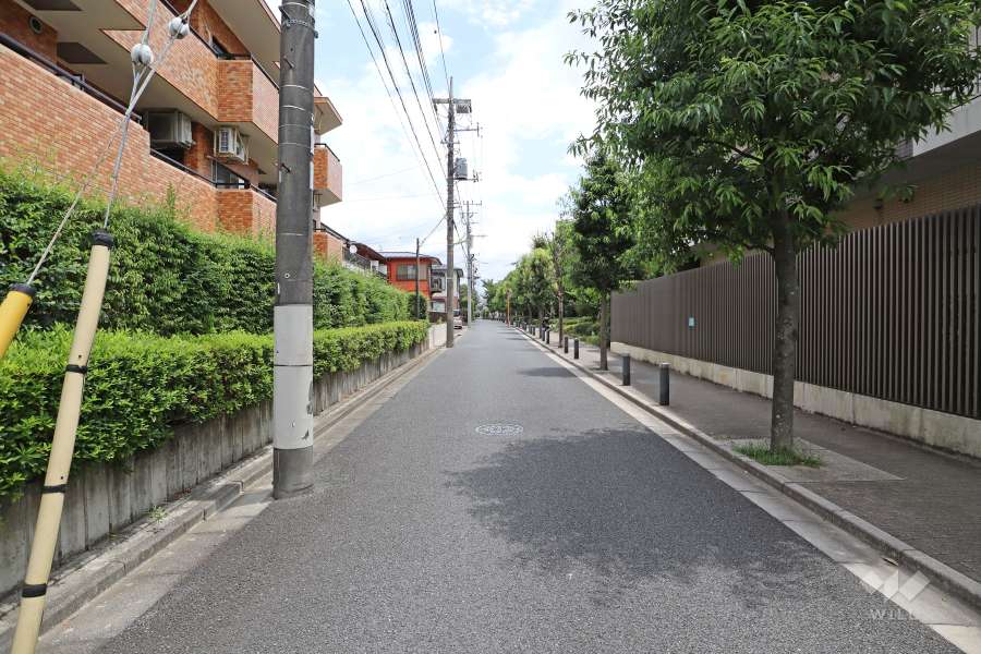 敷地南側の前面道路（西側から）