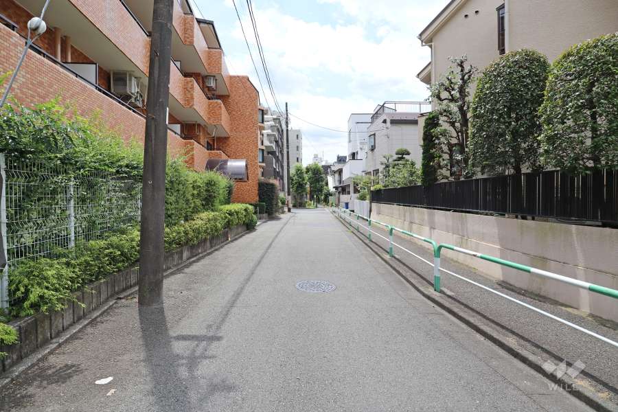 敷地西側の前面道路（北側から）