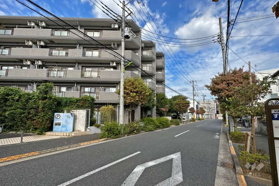 敷地南東側の前面道路（南西側から）