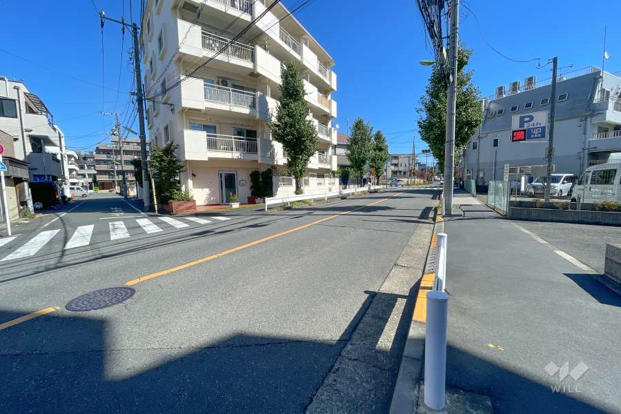 敷地北側の前面道路（西側から）