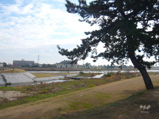 すぐ東側に『武庫川』が流れています。