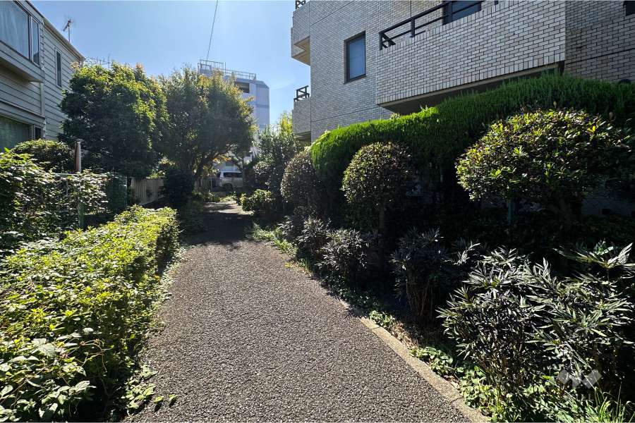 敷地東側の通路（北側から）