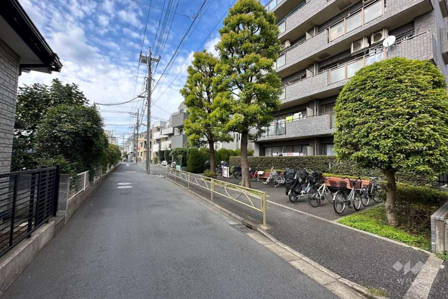敷地南西側の前面道路（南東側から）