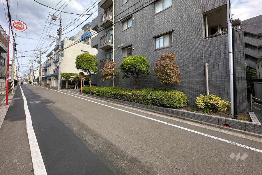 敷地北西側の前面道路（南西側から）