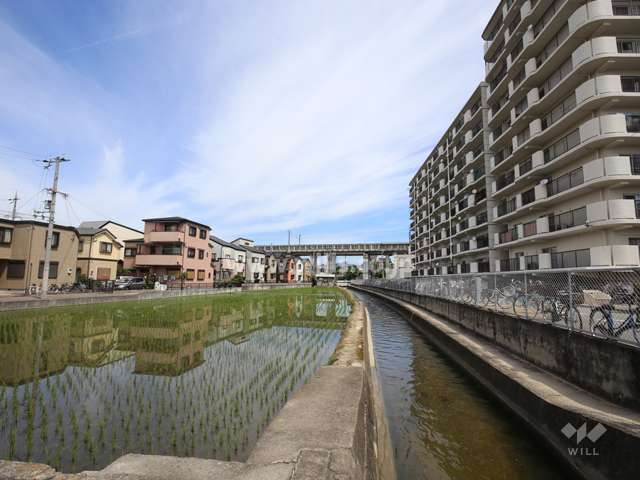 敷地西側には隣接して水路が流れています。