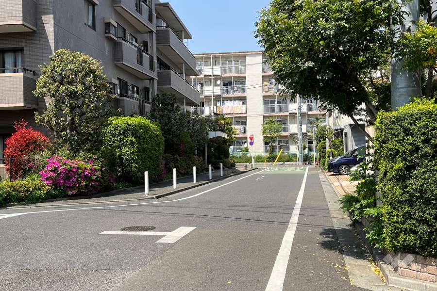 敷地東側の前面道路(南側から)