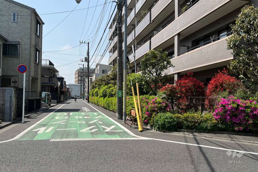 敷地南側の前面道路(東側から)