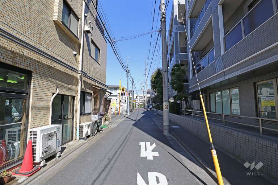 敷地西側の前面道路（南東側から）