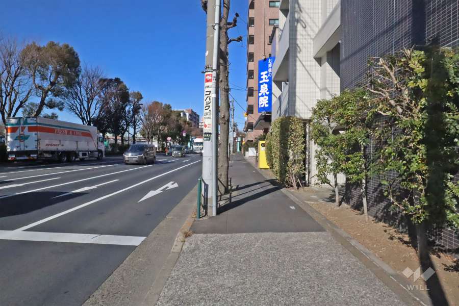 敷地西側の前面道路(南側から)