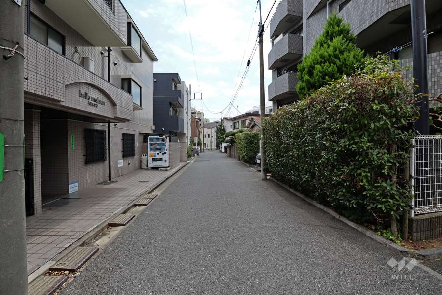 敷地北東側の前面道路（北西側から）