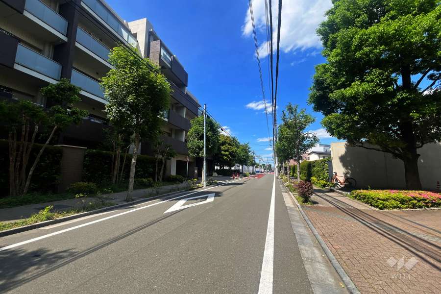 敷地南東側の前面道路（南西側から）