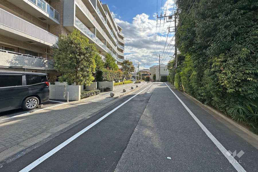 敷地西側の前面道路（北側から）