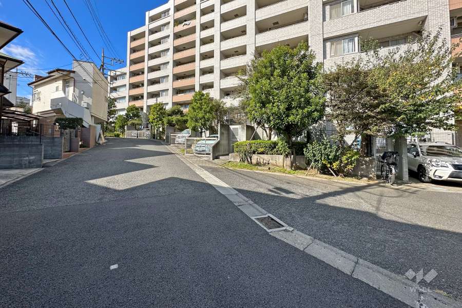 敷地南側の前面道路（東側から）