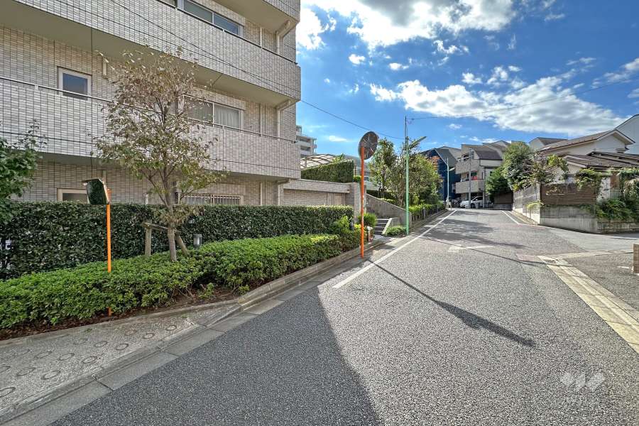 敷地北側の前面道路（西側から）