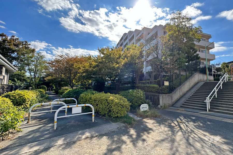 敷地東側の前面道路（北側から）