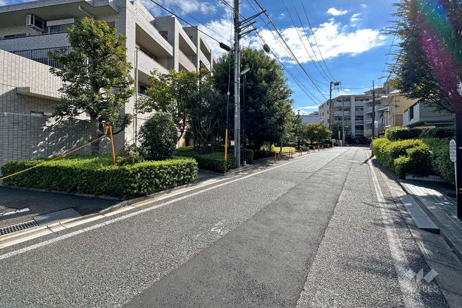 敷地西側の前面道路（北側から）