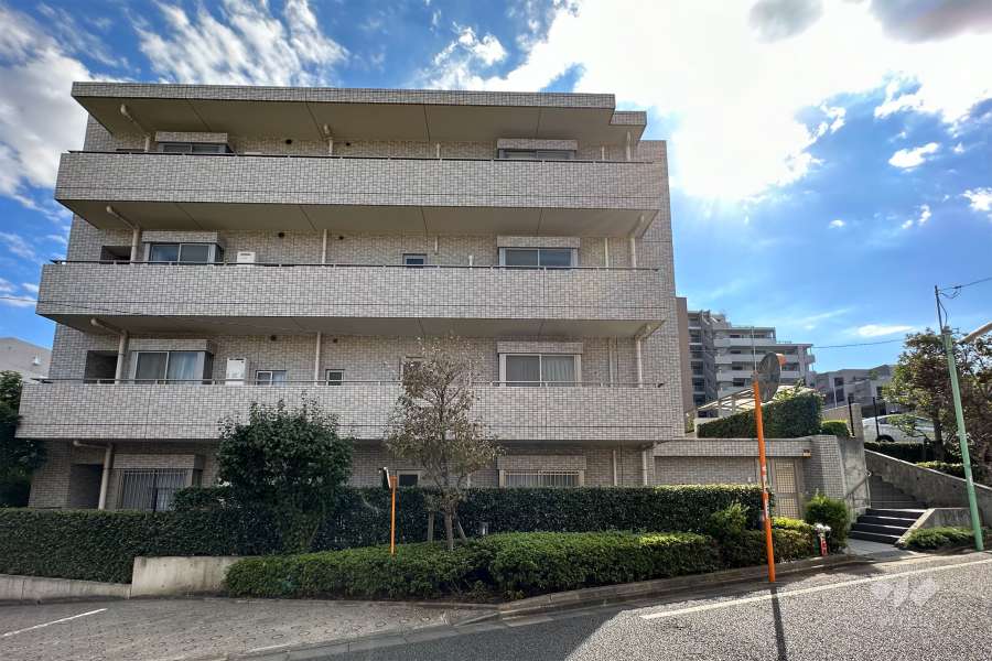 世田谷アインス美しの杜の外観（北東側から）