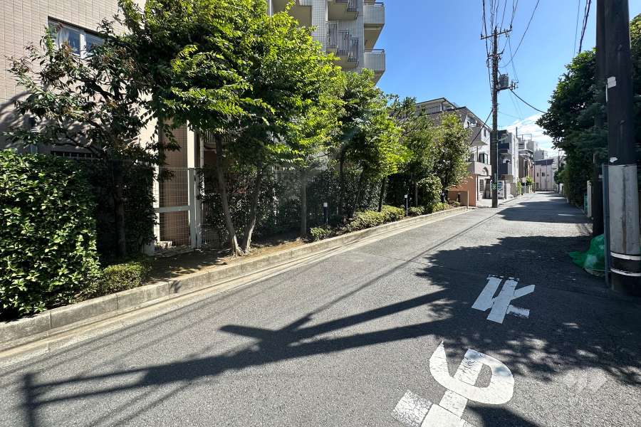 敷地の西側前面道路（北側から）