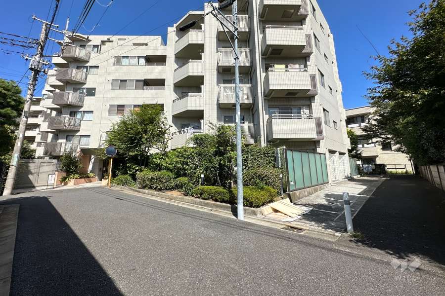 敷地の南側前面道路（南側から）