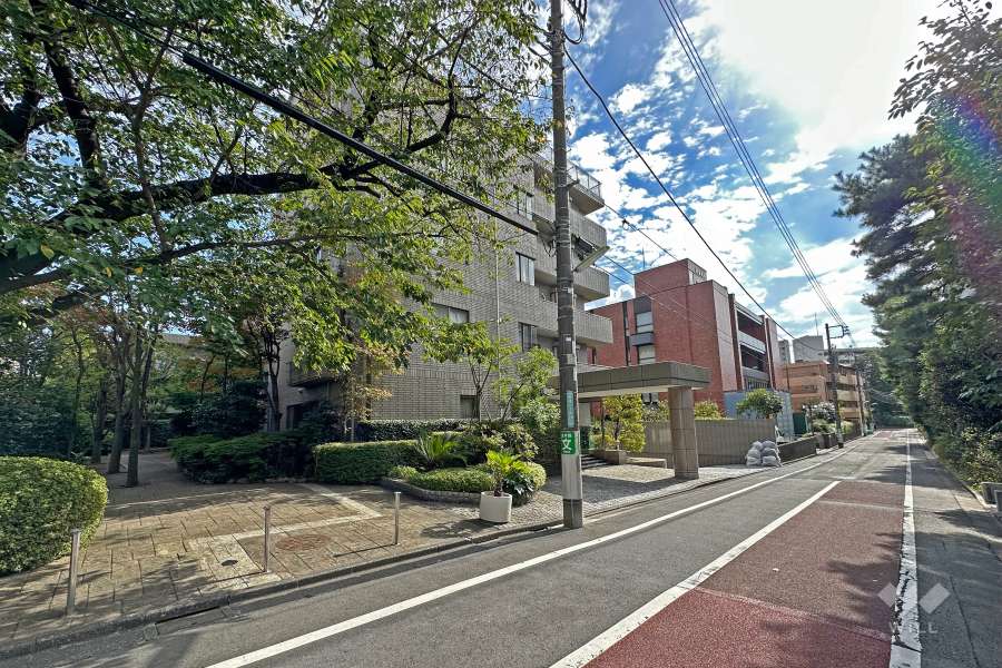 敷地の北西側前面道路（北東側から）
