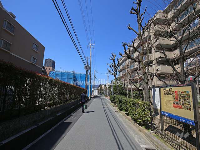 敷地南側の前面道路