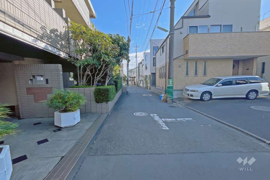 敷地南側の前面道路（西側から）