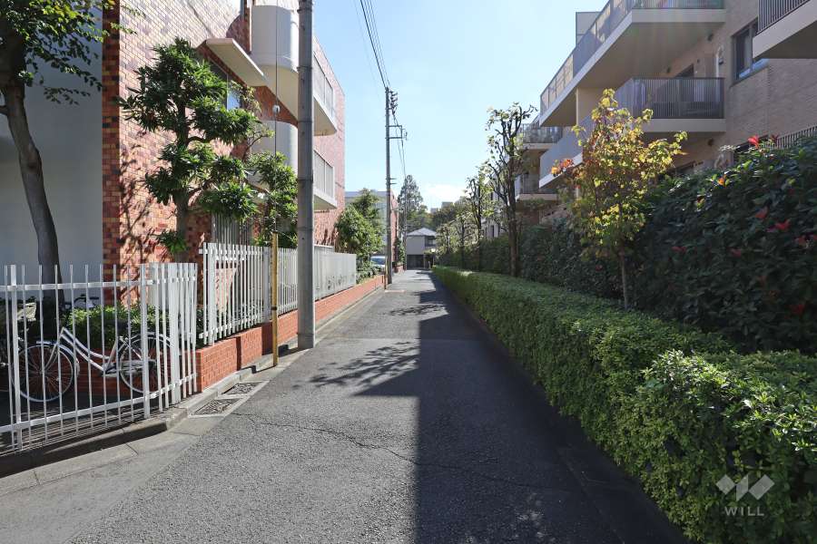 敷地東側の前面道路