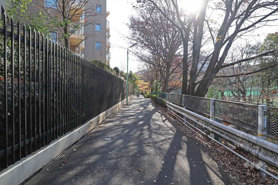 敷地西側の前面道路