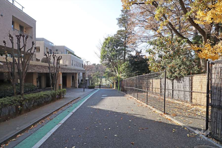 敷地北側の前面道路