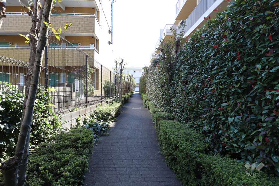 敷地東側の前面道路