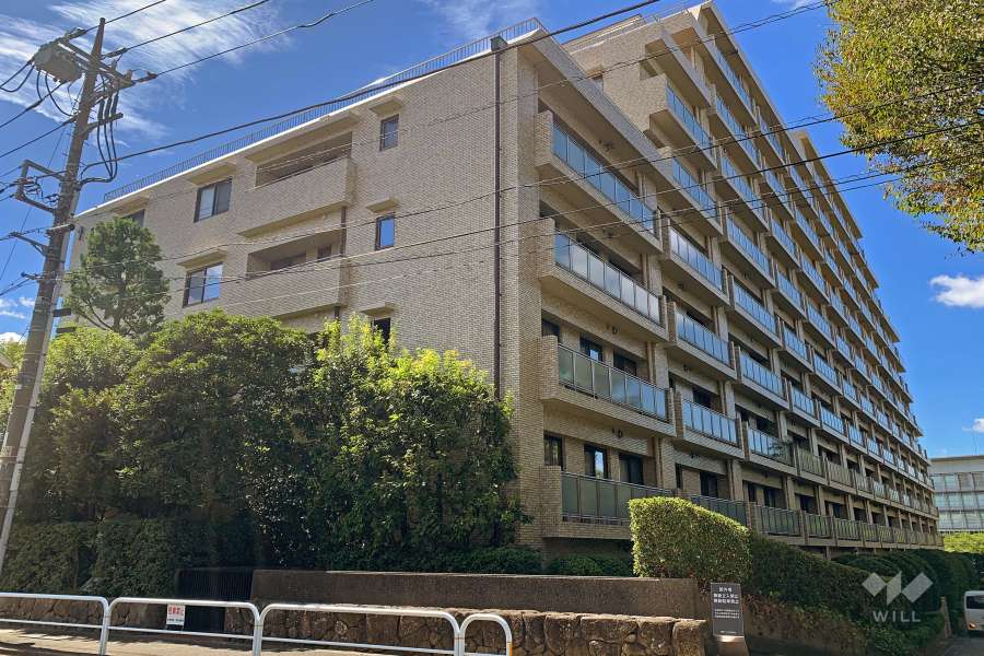 成城ハイム1号棟の外観（北東側から）