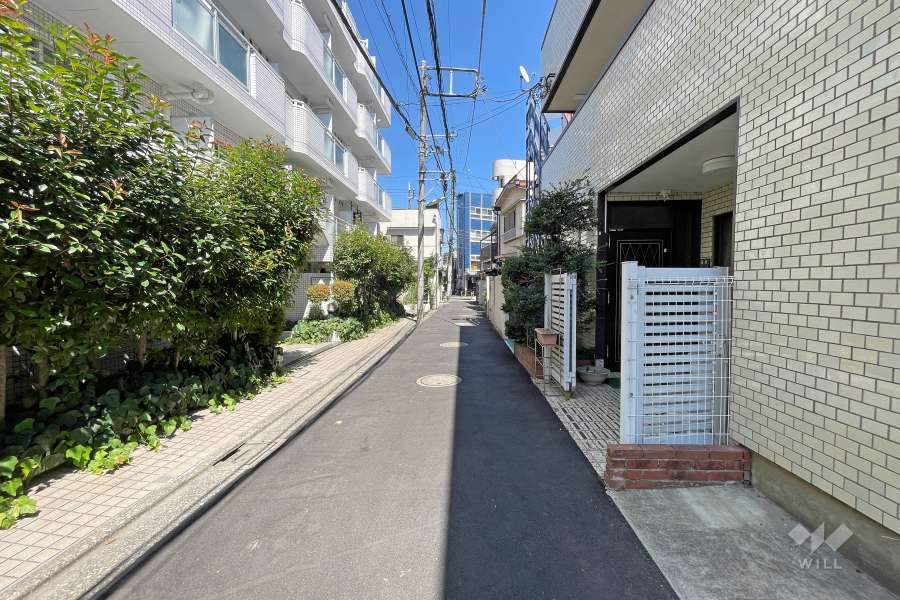 敷地南側の前面道路（西側から）