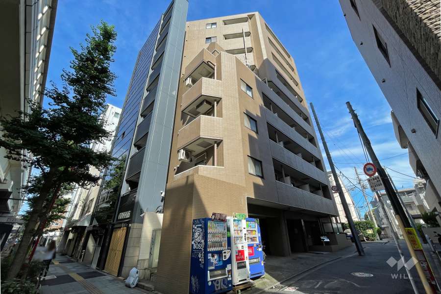 菱和パレス三軒茶屋壱番館の外観（南東側から）