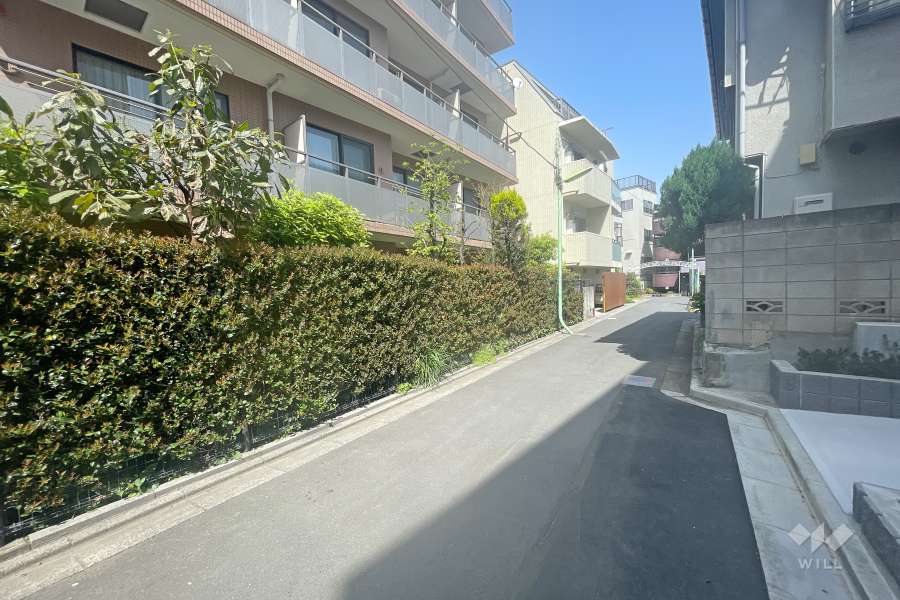 敷地南側の前面道路（西側から）