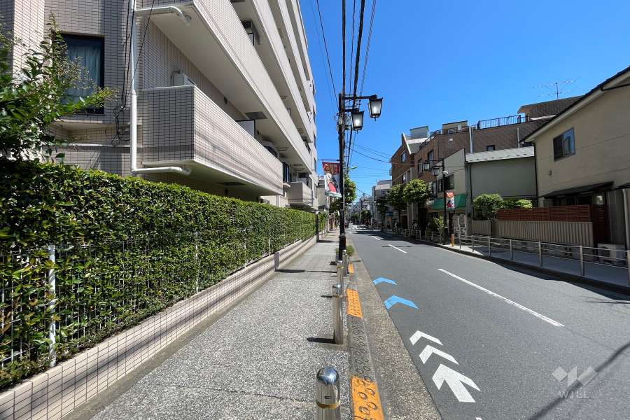 敷地南西側の前面道路（北西側から）