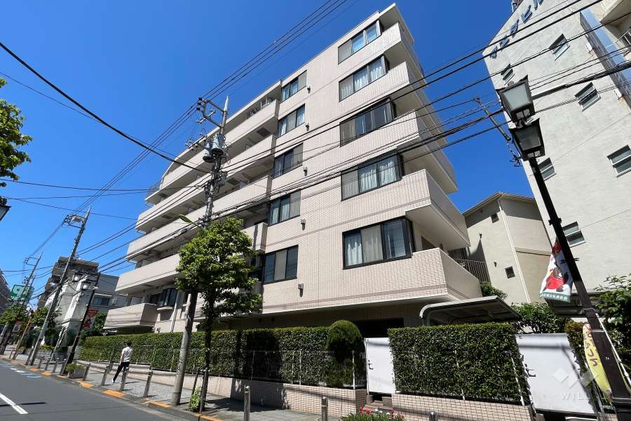 ワールドパレス三軒茶屋の外観（南西側から）