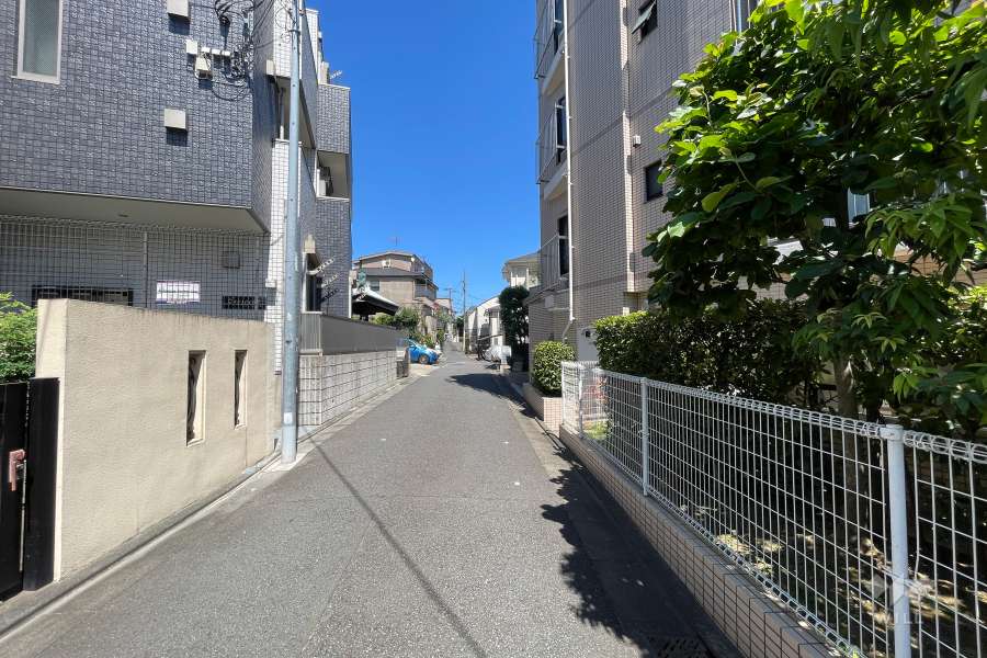 敷地北側の前面道路（西側から）