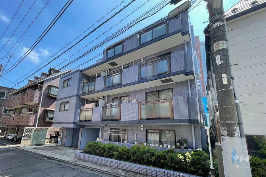 セザール三軒茶屋の外観（南西側から）