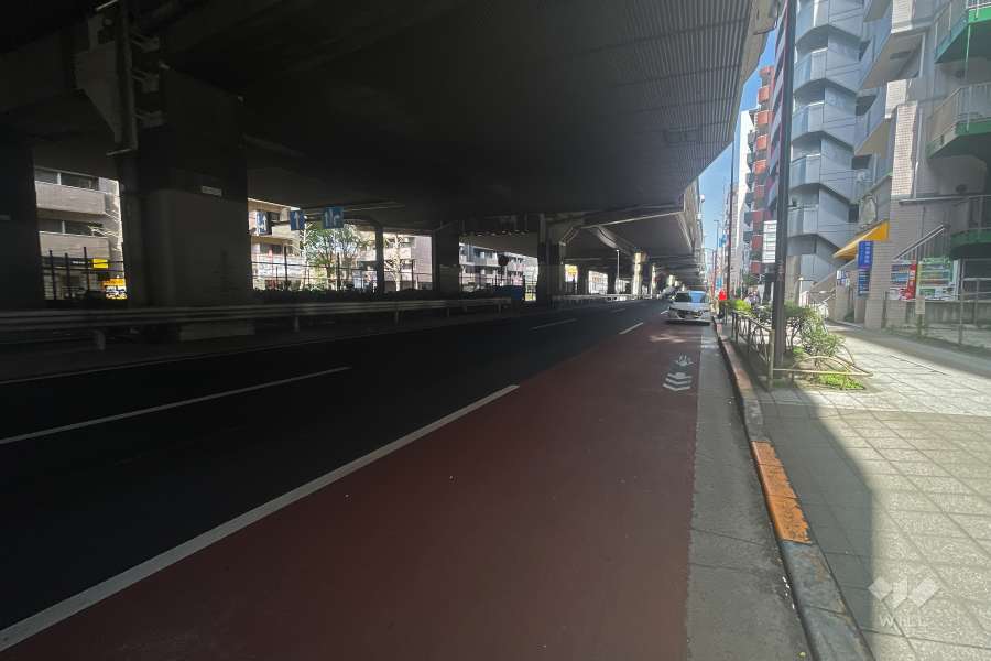 敷地北側の前面道路（西側から）