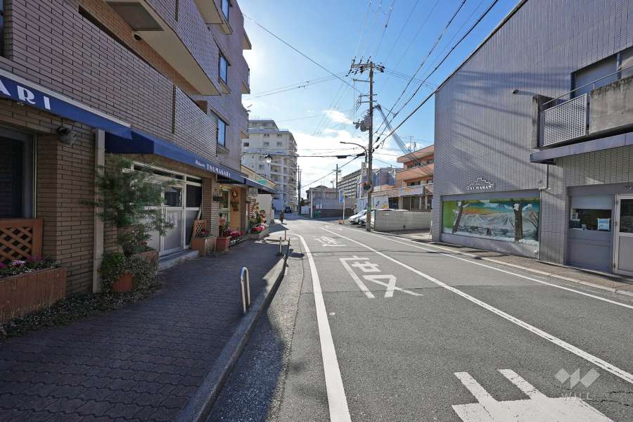 敷地北西側の前面道路（北側から）