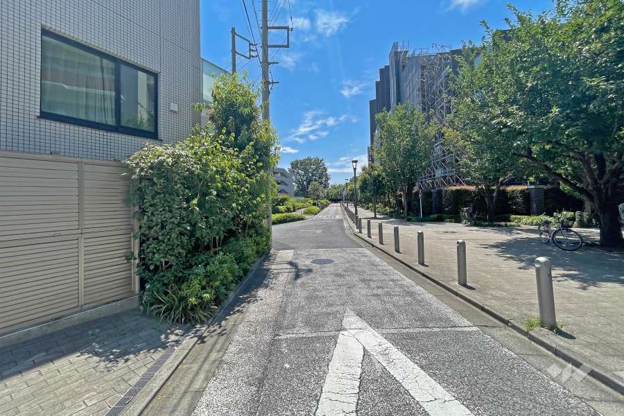 敷地北側の前面道路（東側から）